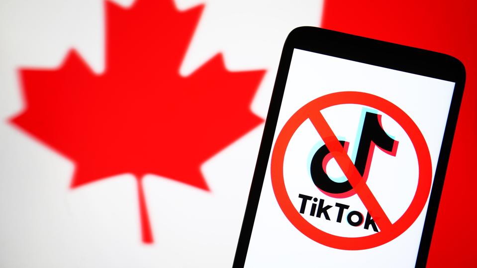In this photo illustration, a crossed-out TikTok logo is...