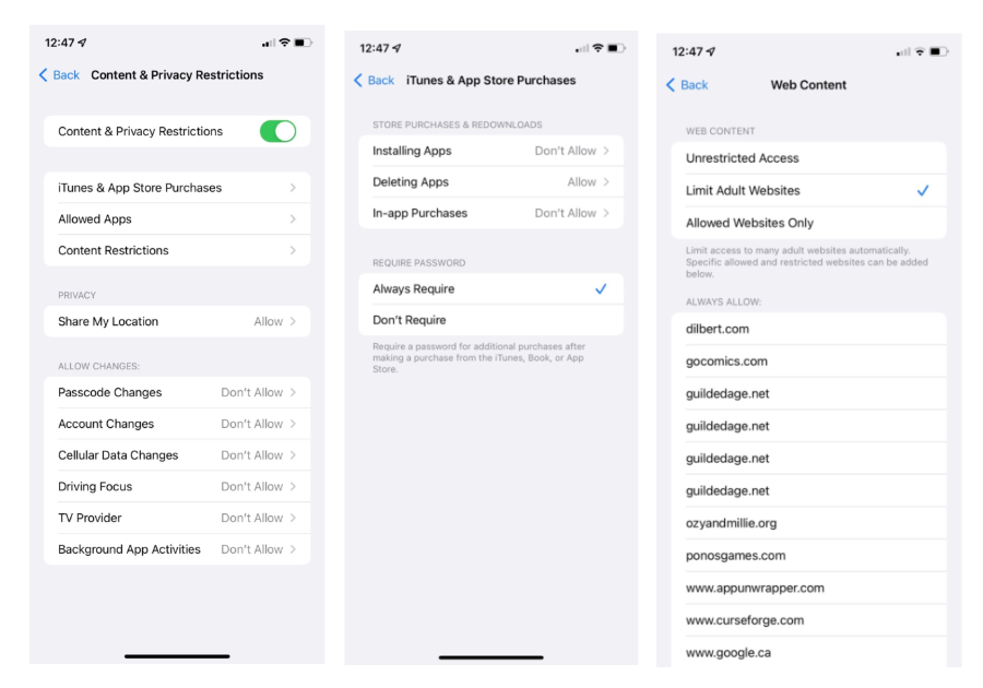screenshot of iOS screentime settings