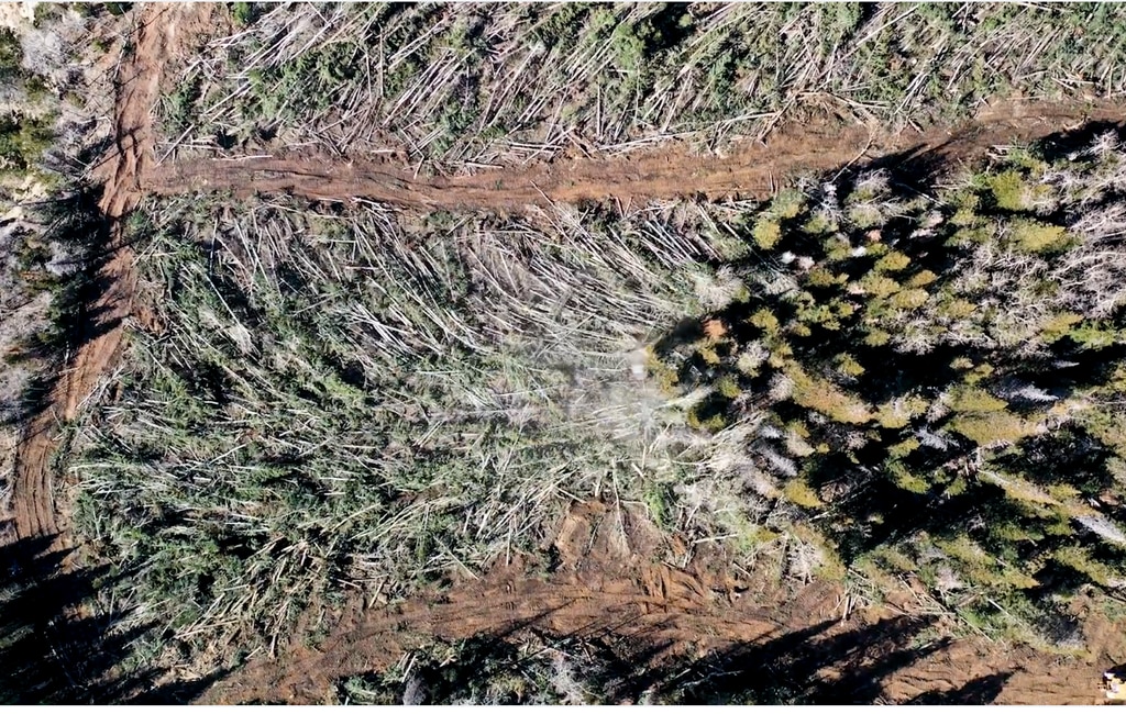 (106 Reforestation) This image from a promotional video shows how a Utah company called 106 Reforestation bulldozes overgrown forests on the Tavaputs Plateau with the hope of restoring aspen that have been crowded out by subalpine fir and other conifers. The Utah Legislature has appropriated $4.4 million dollars since 2019 to promote the experimental forest treatments as a way to enhance stream flows.