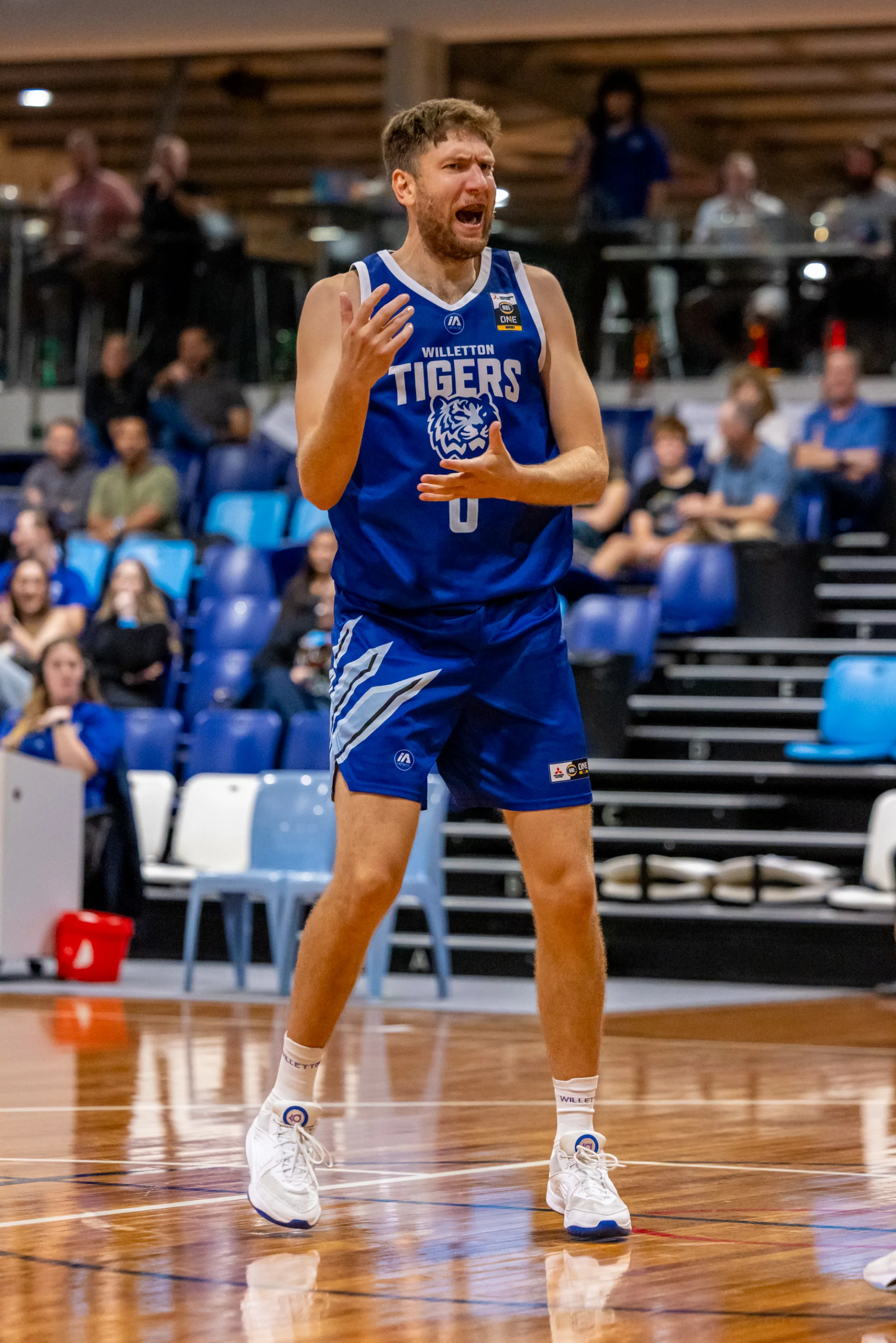 17052024tigersvmagic 95