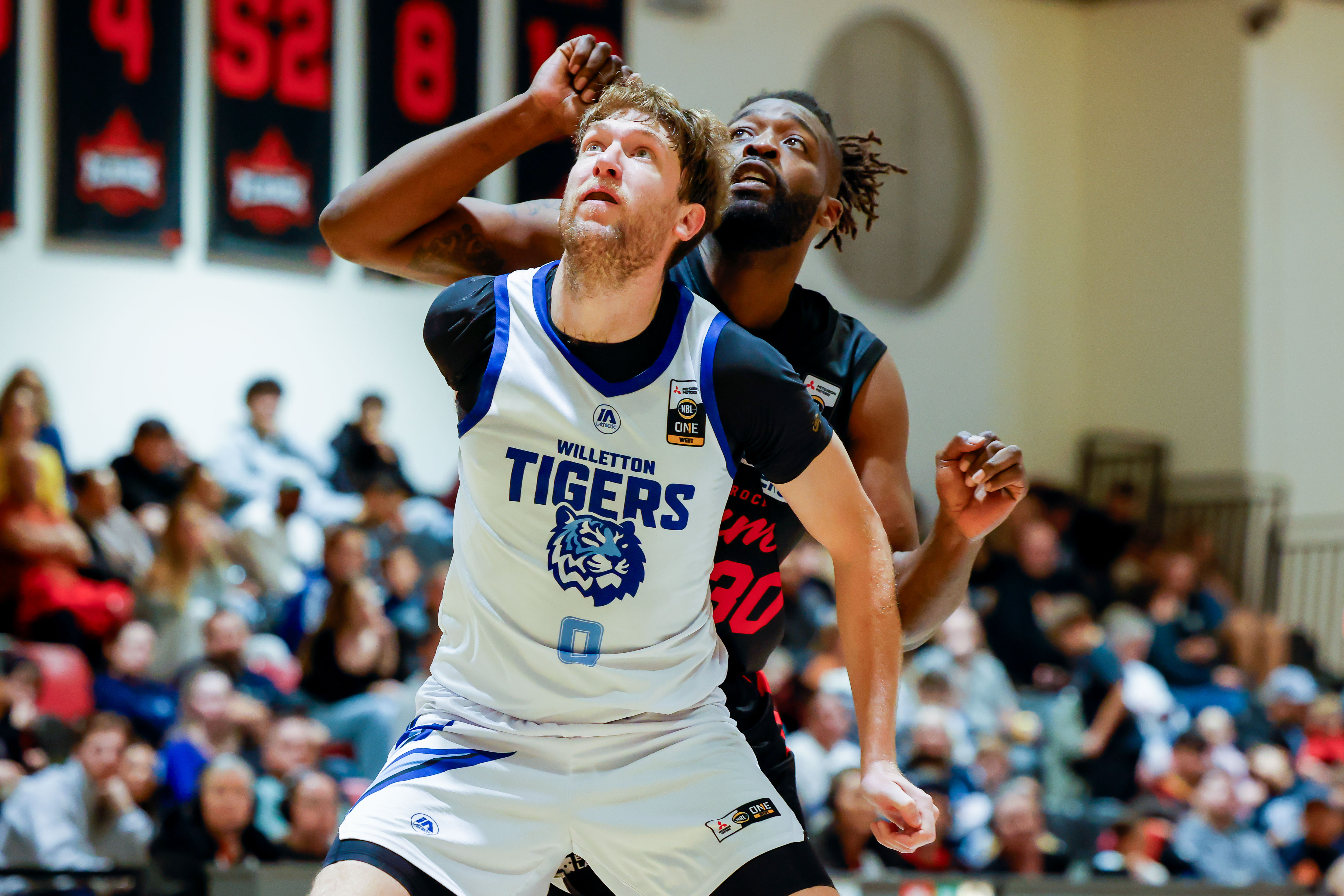 Flamesvtigersmqf090825 46