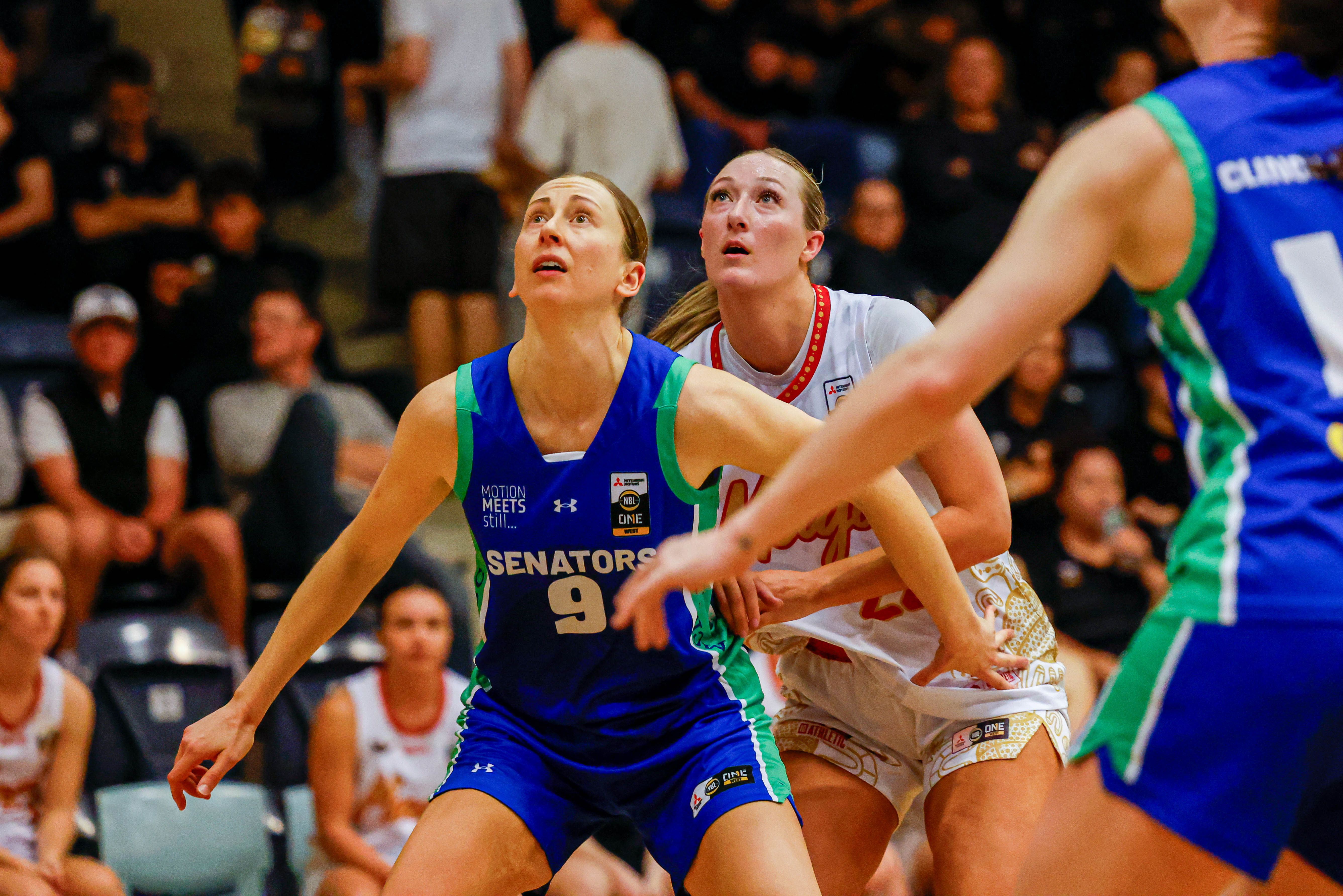 Senatorsvmagic3may 011 2