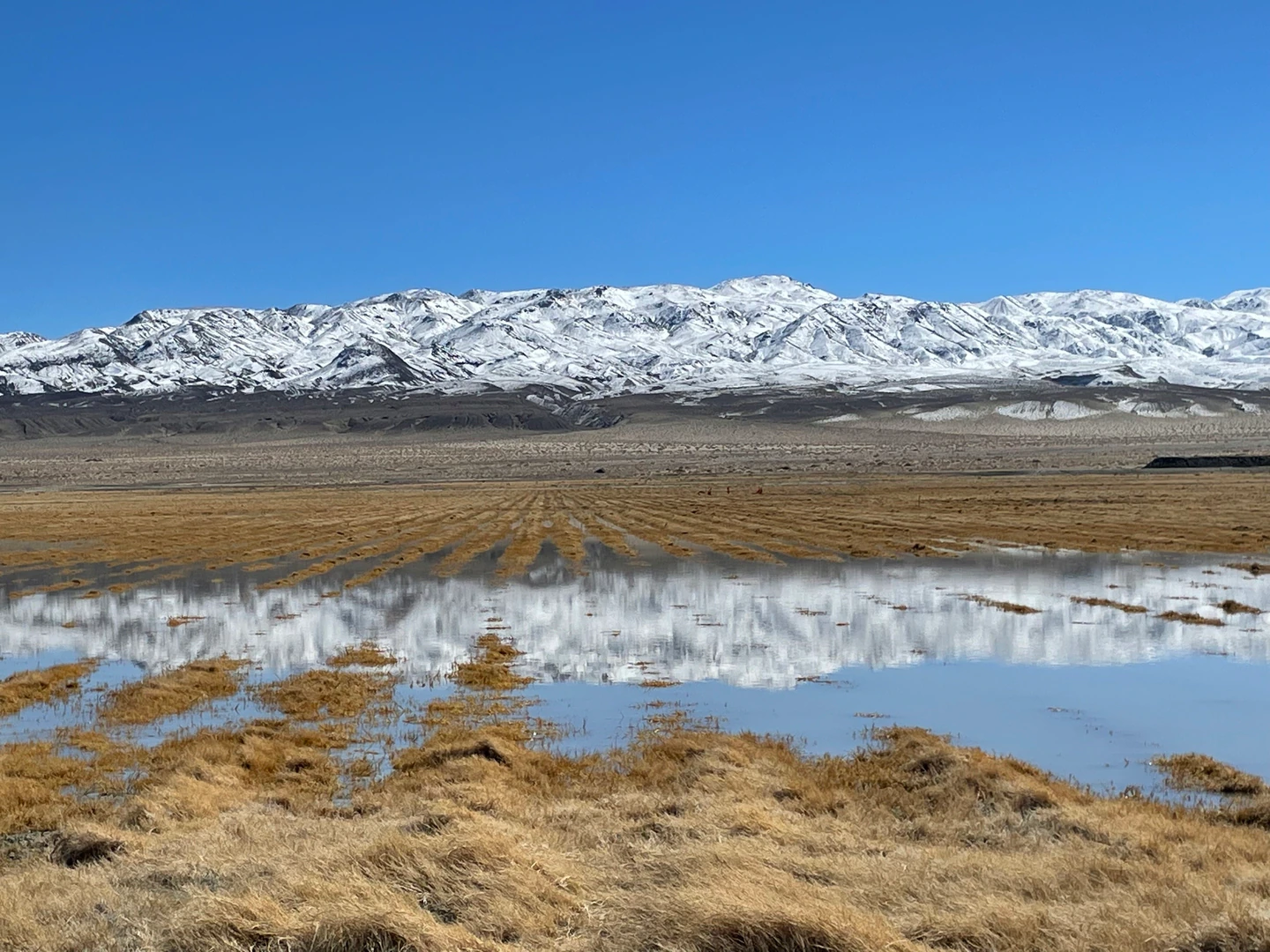 The Inyo mountains reflected in the water at a part of Owens Lake where managed vegetation is used to control dust pollution, on February 28.