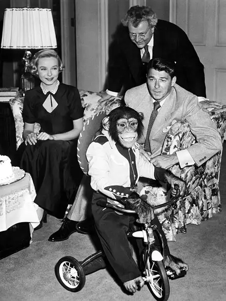 Ronald Reagan | Key Role: Bonzo in Bedtime for Bonzo (1951). Oscar-worthy Moment: Playing a chimp raised as a human child by anthropologist Ronald Reagan, Peggy gives a