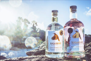 sugarbird, gin, cape town, south africa, vancouver, helen siwak, folioyvr, ecoluxury lifestyle, vancity bc