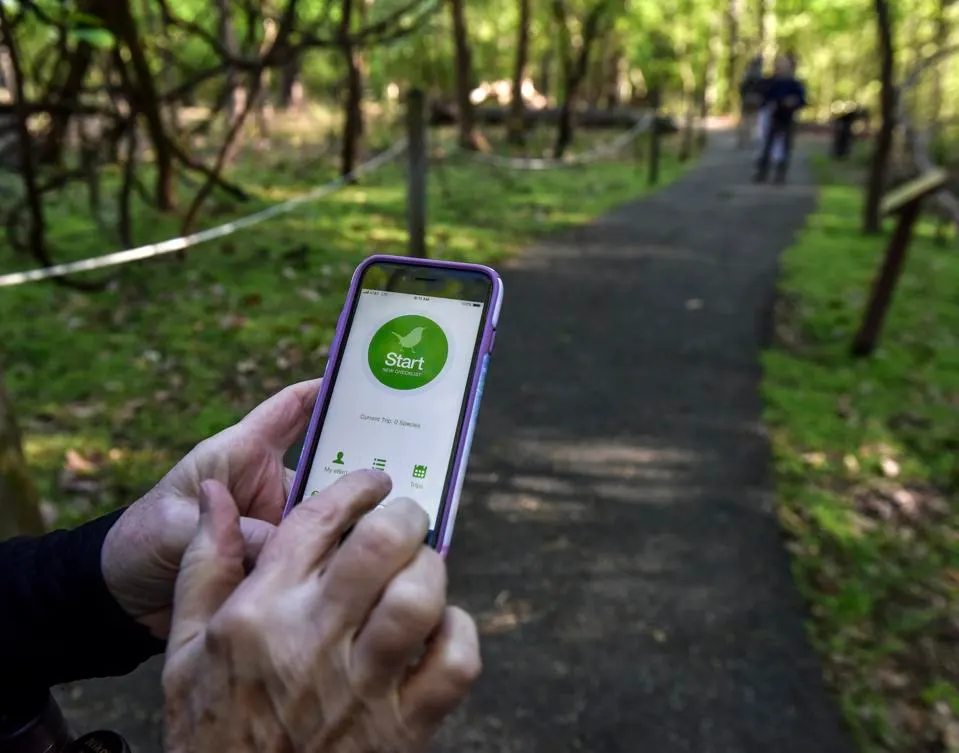 Bird watching enthusiasts using the eBird app in Rock Creek Park, in Washington, DC.