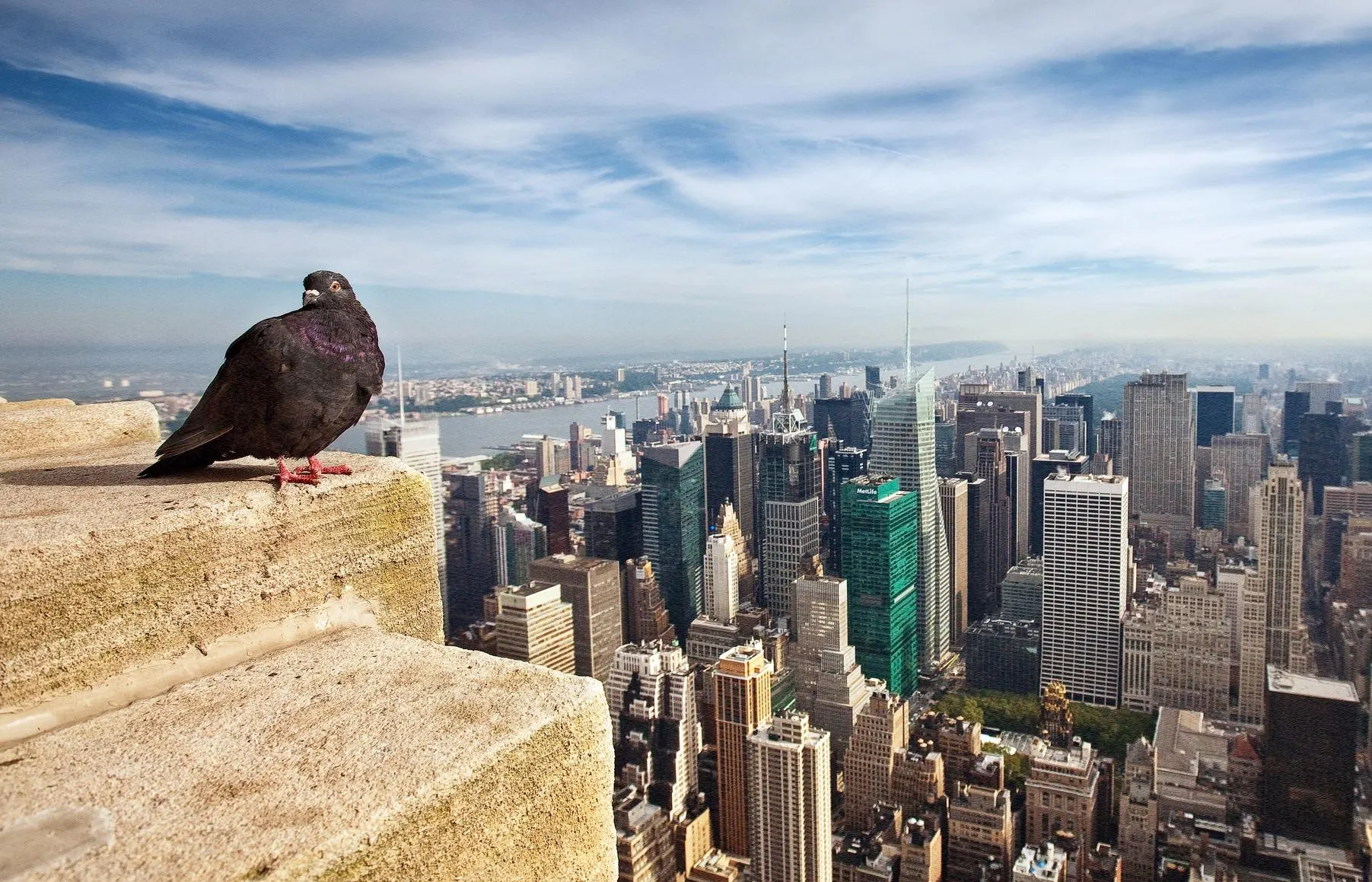 86th Floor