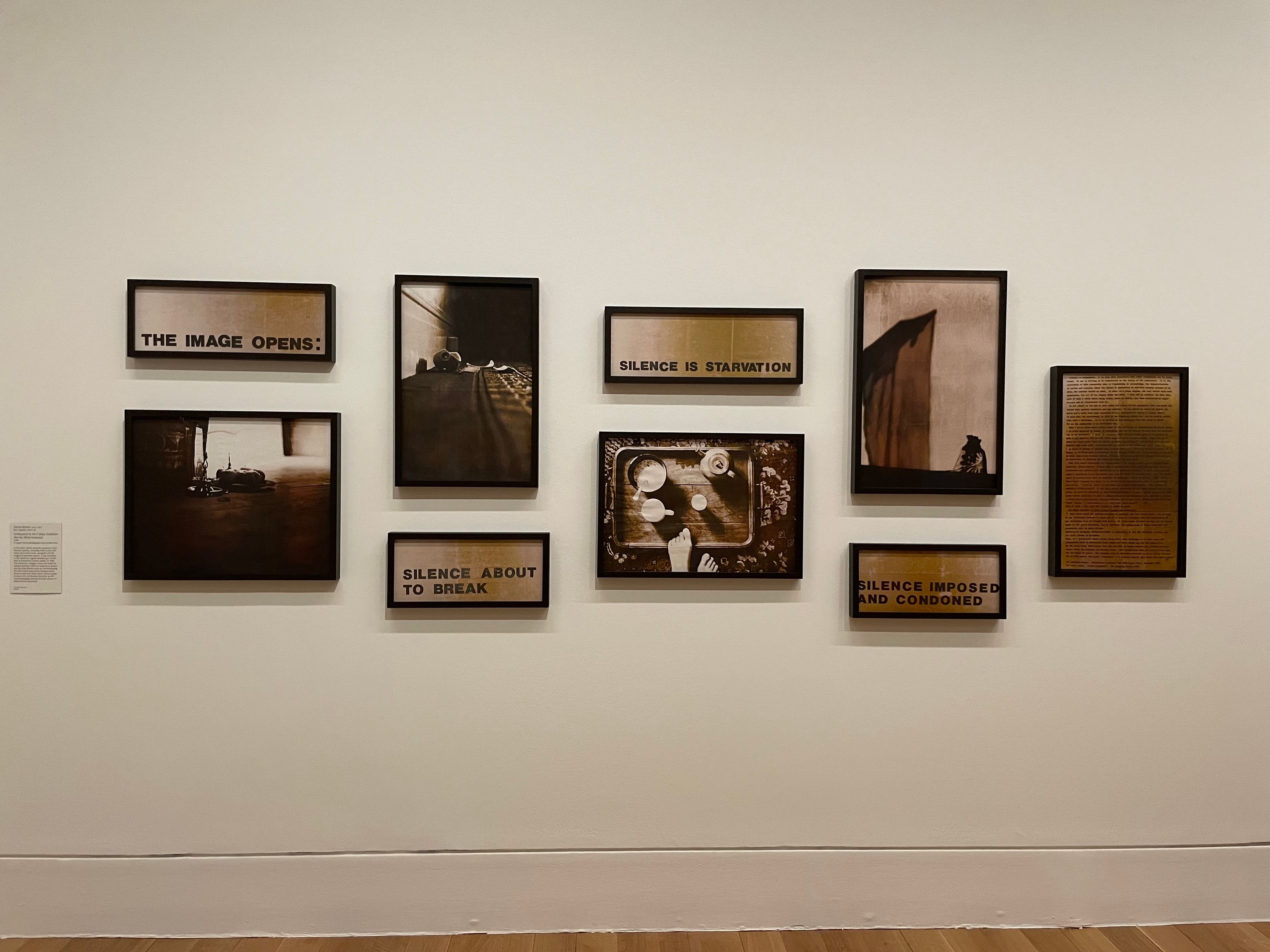 Zarina Bhimji. In Response to the F-Stops Exhibition (For the White Feminists), 1986. Nine copper-toned photographs and printed texts