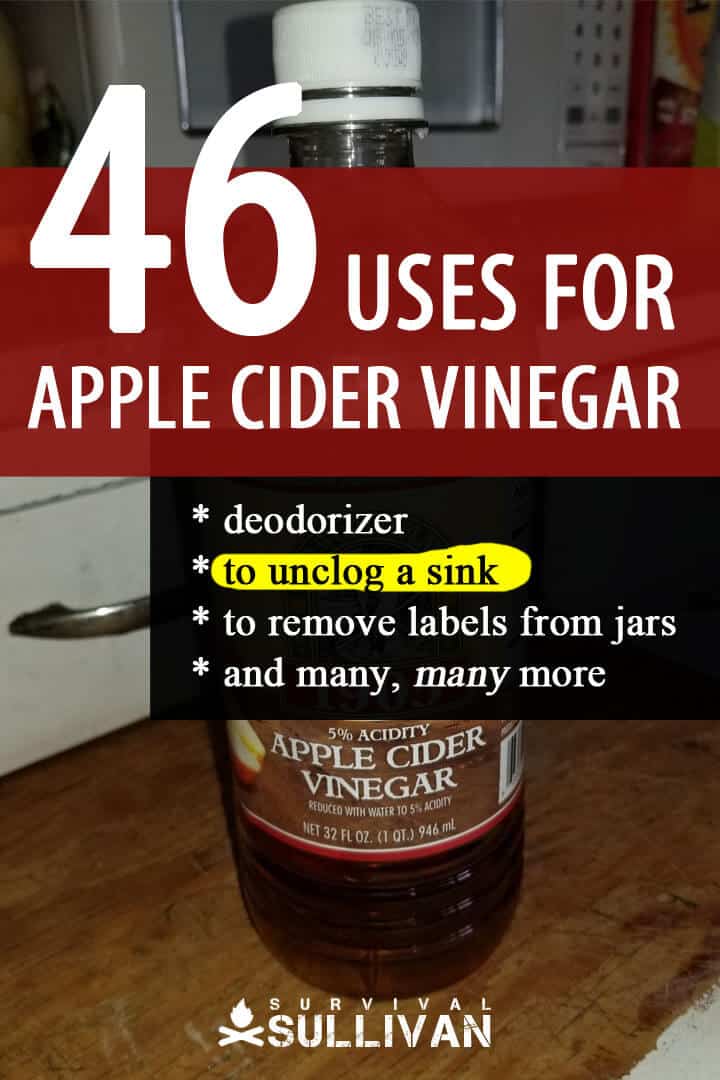 apple cider vinegar pinterest
