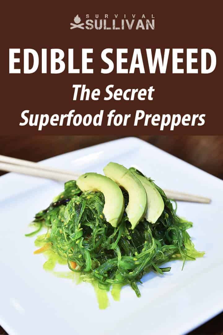 edible seaweed pinterest