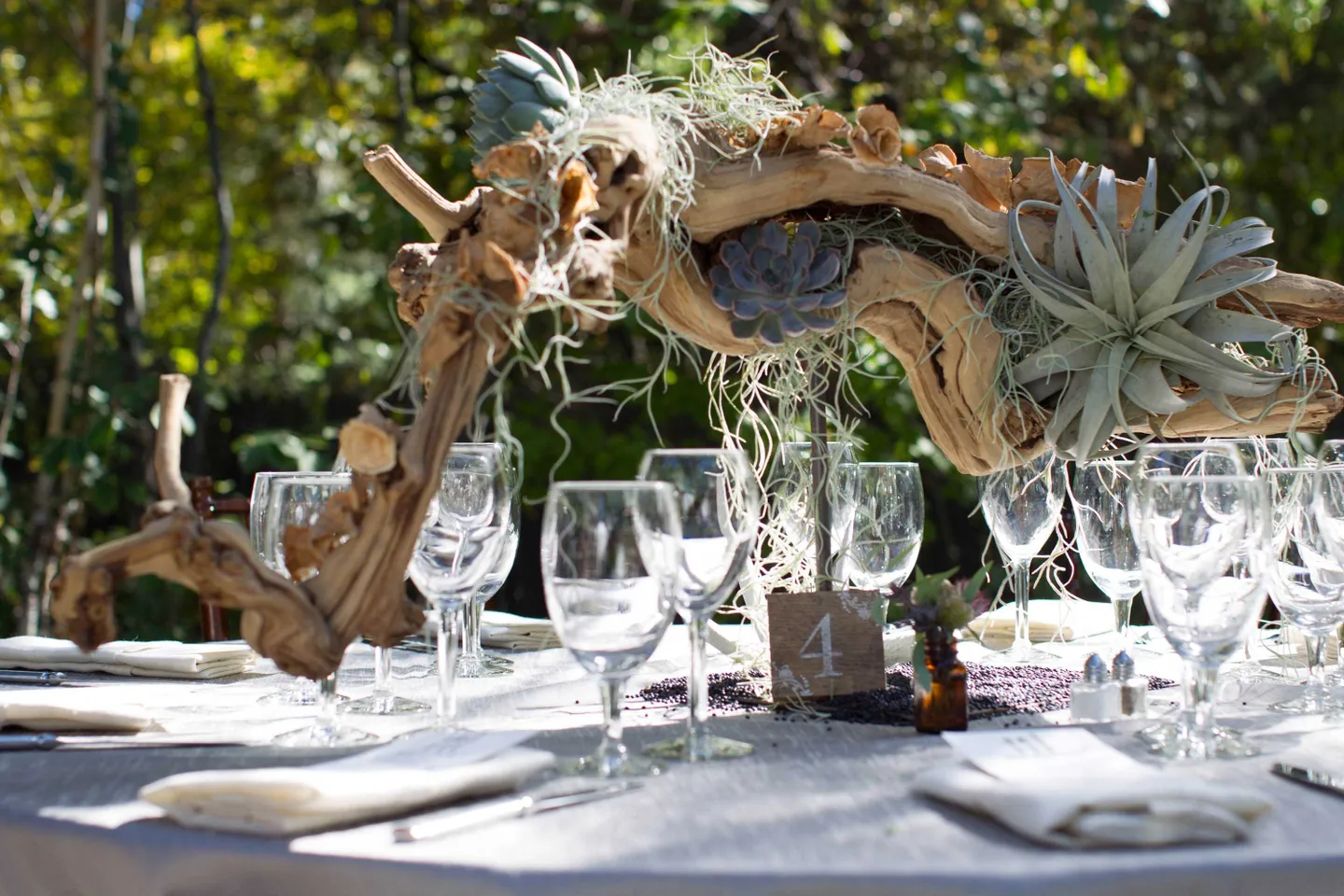 sprawling-branches-with-succulents-and-moss