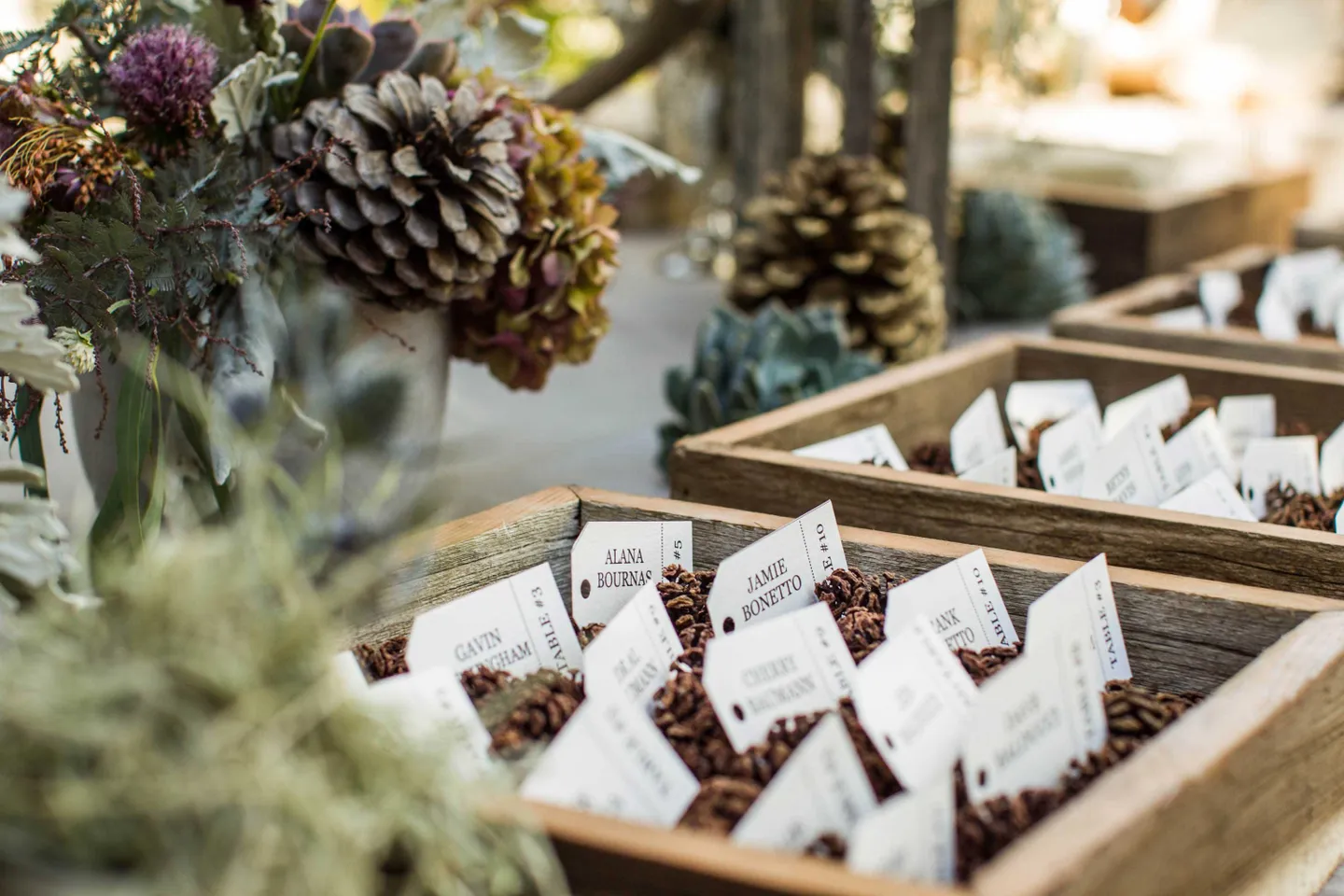 escort-cards-with-pinecones-in-wooden-boxes
