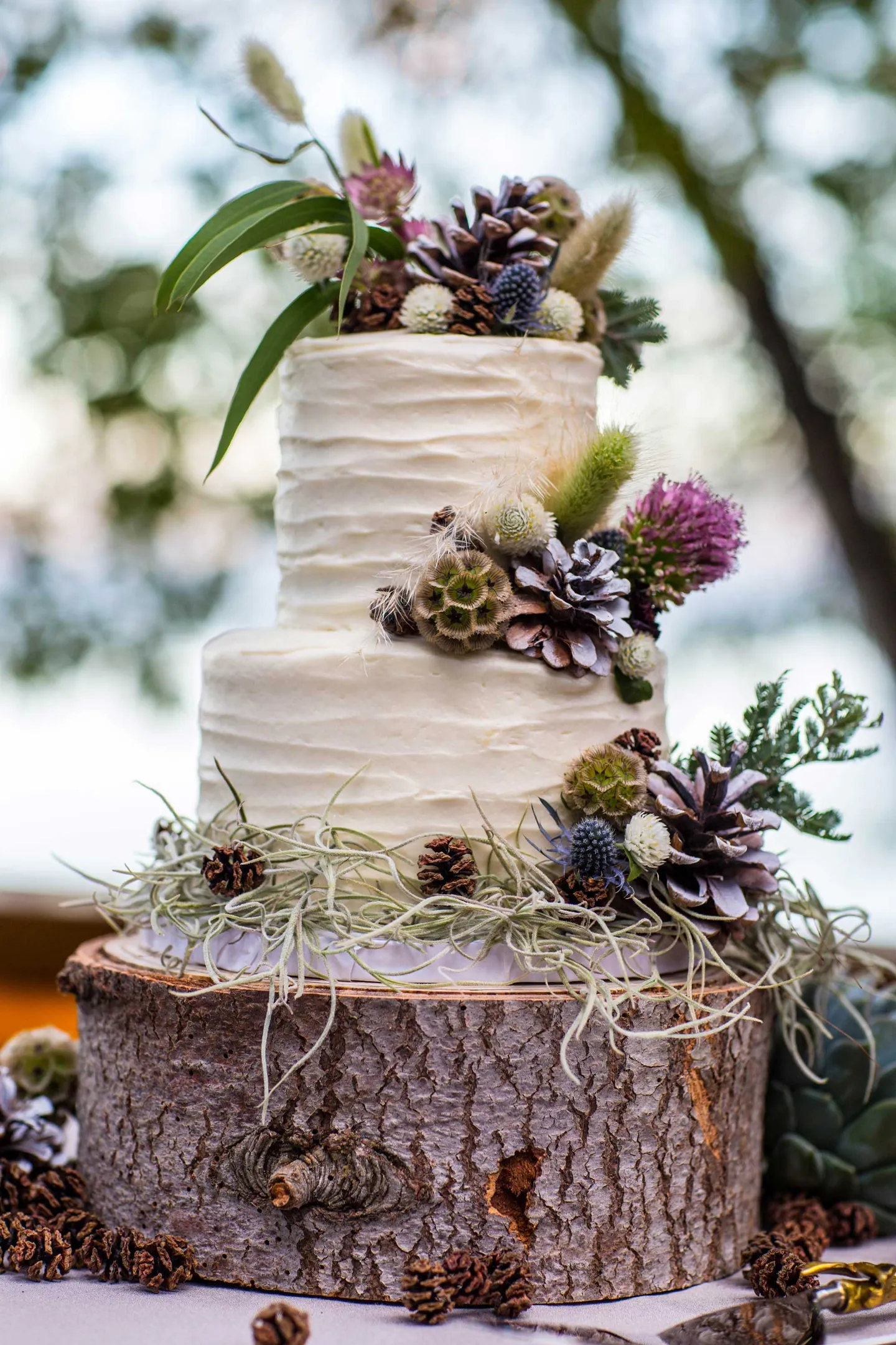 carrot-cake-with-cream-cheese-frosting-on-a-tree-trunk-slab-decorated-with-wildflowers-pinecones