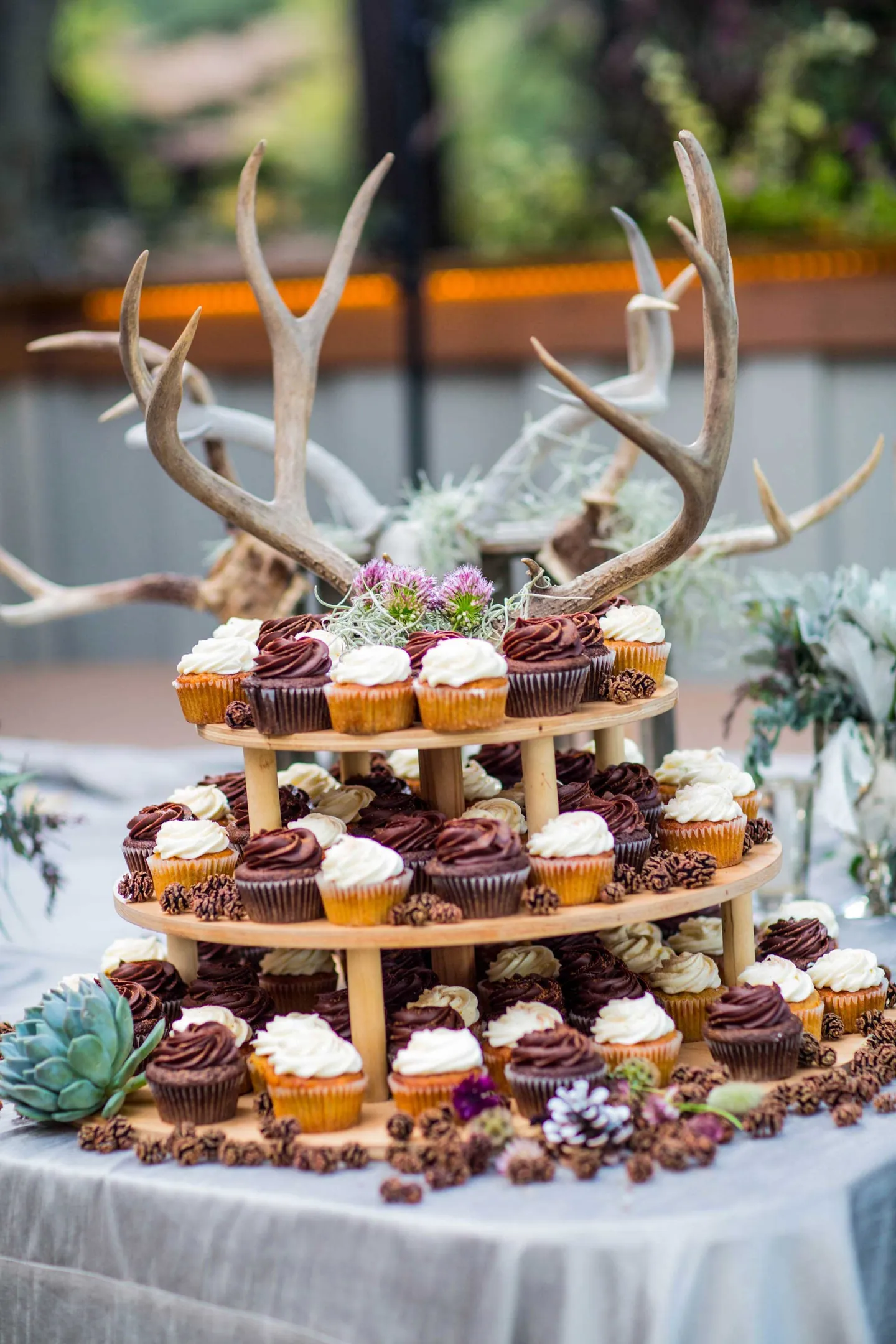 wedding-cupcake-table-with-antlers-as-decor