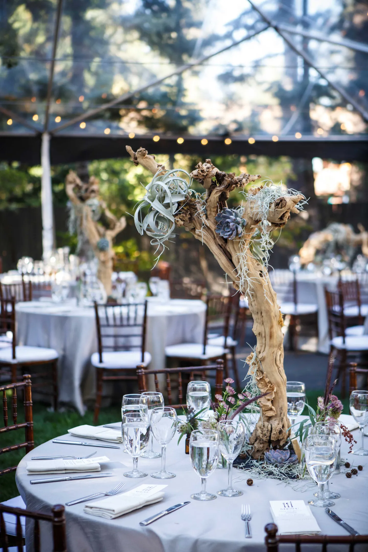branch-centerpieces-with-blue-succulents-moss