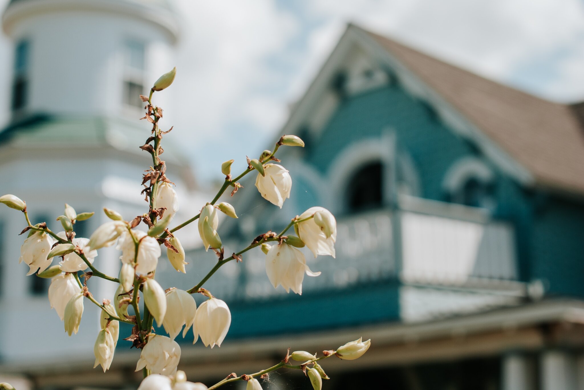 Marthas Vineyard Travel Guide