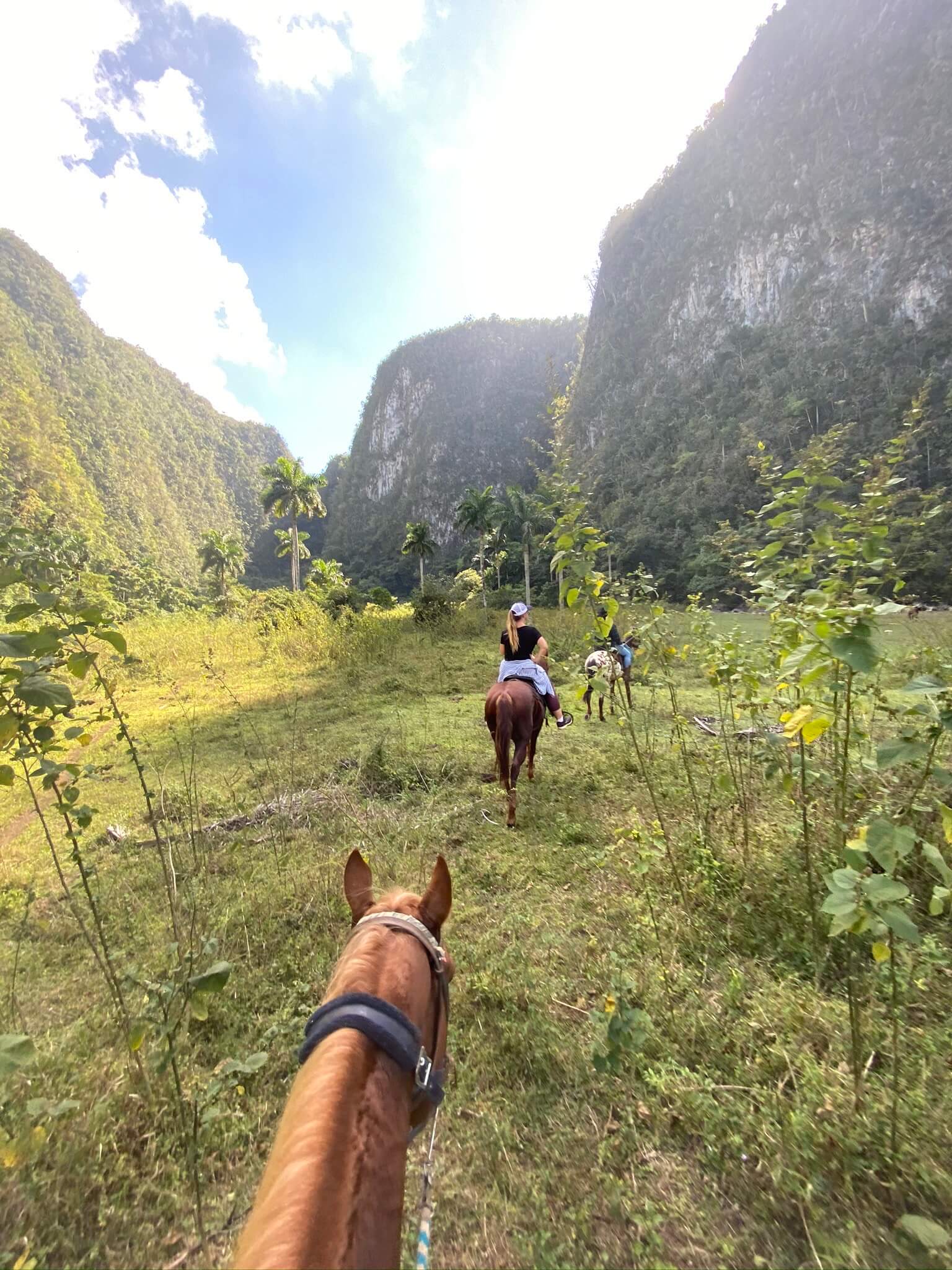 the vinales experiences cuba tourism group horseback riding cowboy family farm