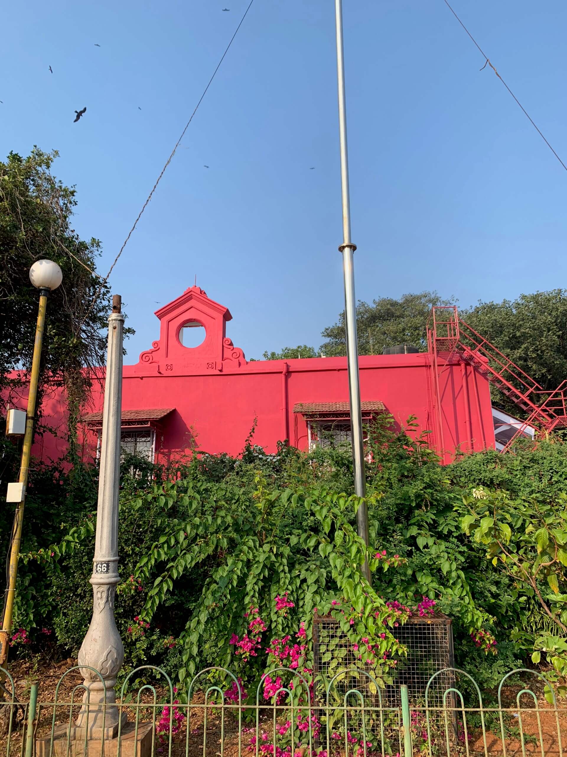 hanging gardens of mumbai pink building india tourism flowers peaceful location park parks