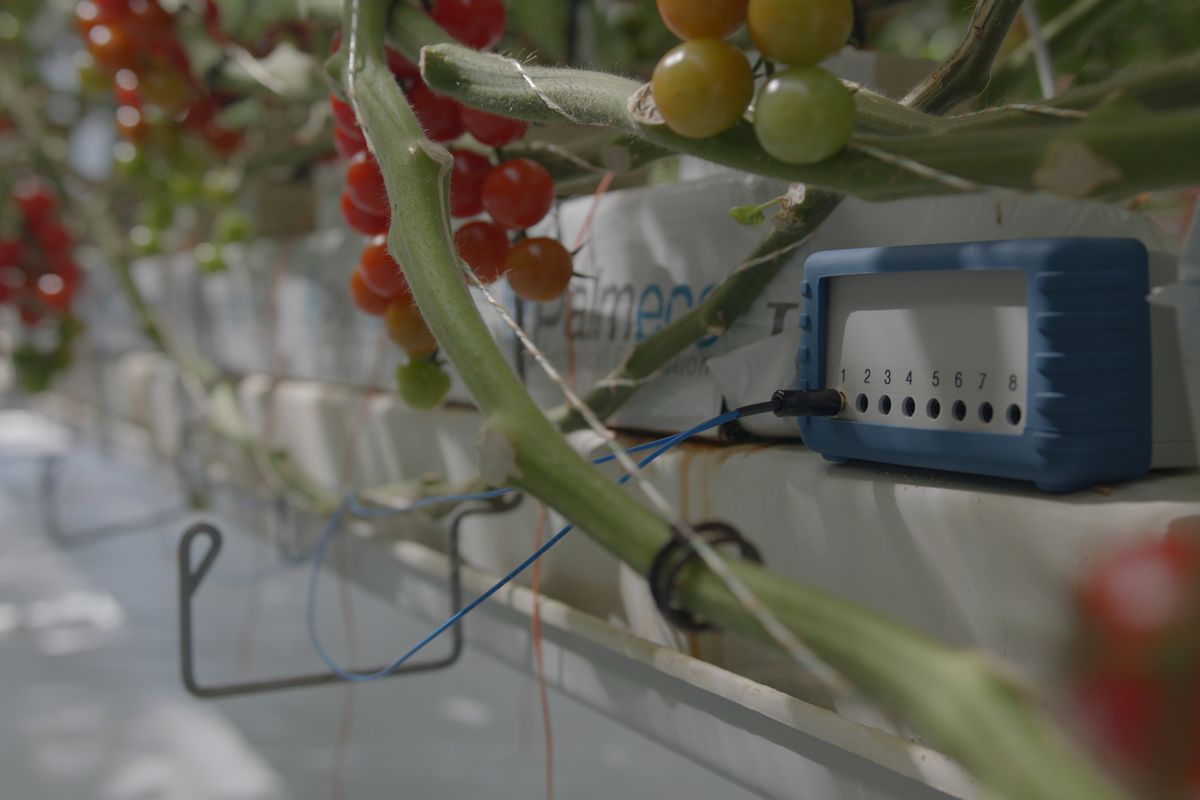 How to Keep Crops Alive In a Warmer, Dryer World