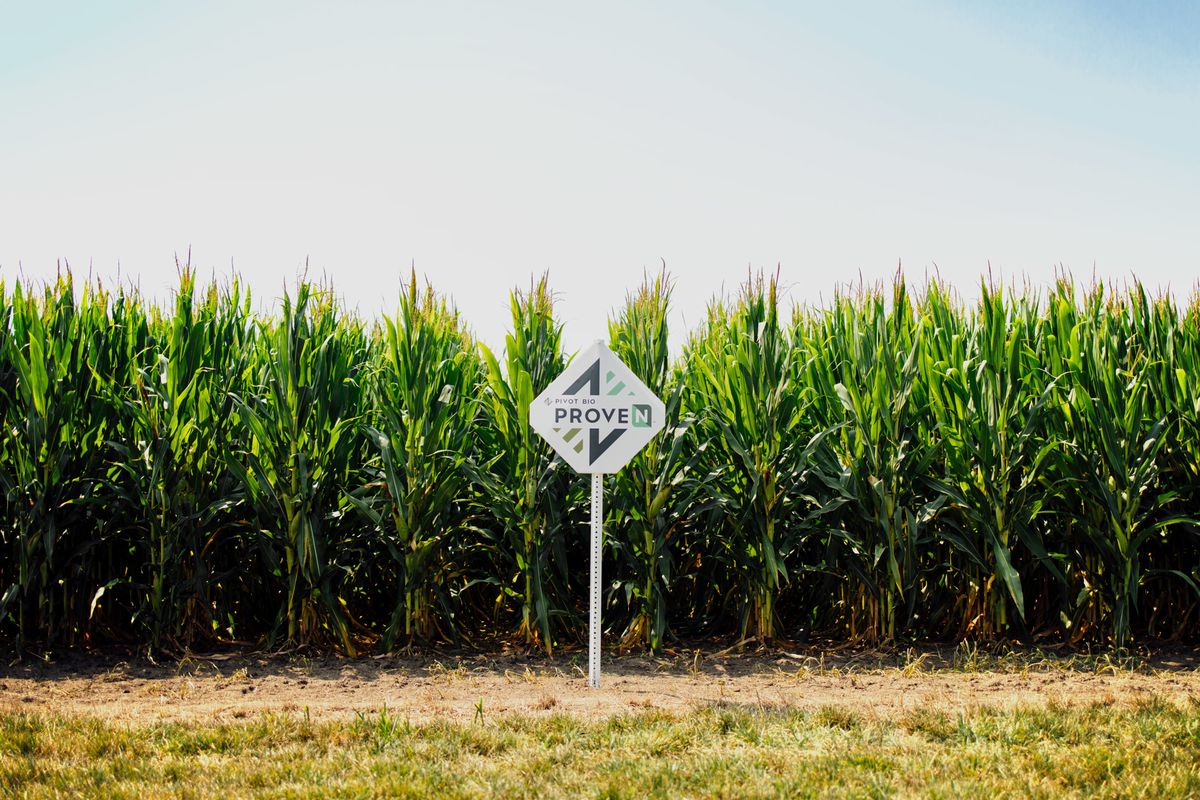 How to Keep Crops Alive In a Warmer, Dryer World