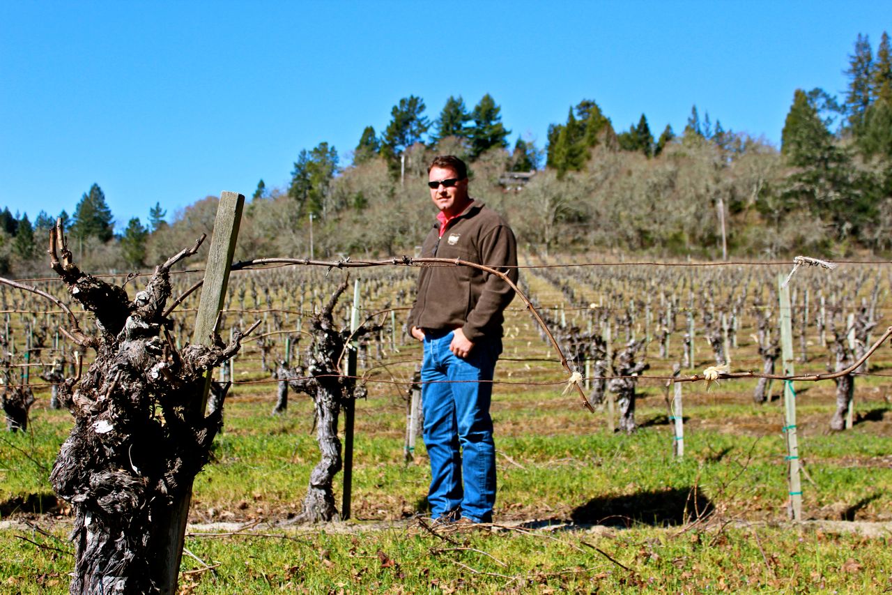 Steve Dutton (owner/grower, Dutton Ranch), among his Old Wente Chardonnay plants in Rued Vineyard, Russian River Valley.