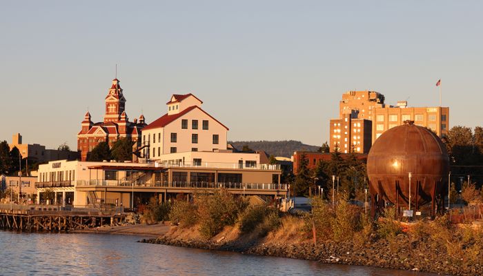 Those downtown Bellingham salmon are supposed to die