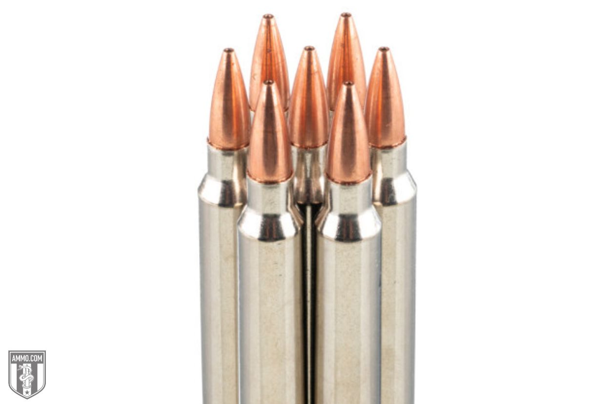 Norma Ammo for sale