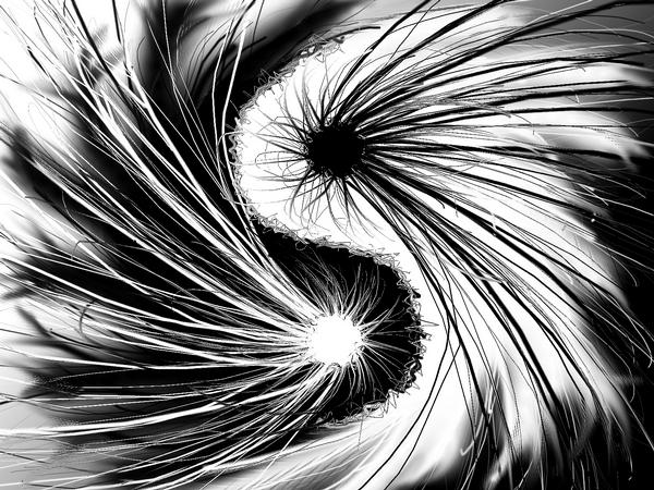 yin_yang_of_chaos_and_disorder_by_misellee-d3jop07