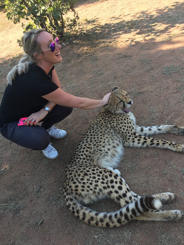 Image of the author patting a cheetah